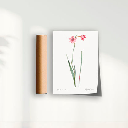Quadro Floral Vintage - Lily