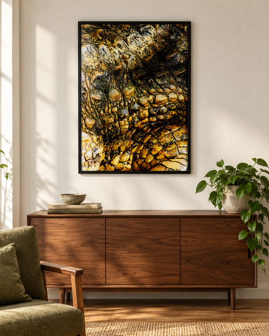 Quadro Zoologico 723 Por Thales Antonio