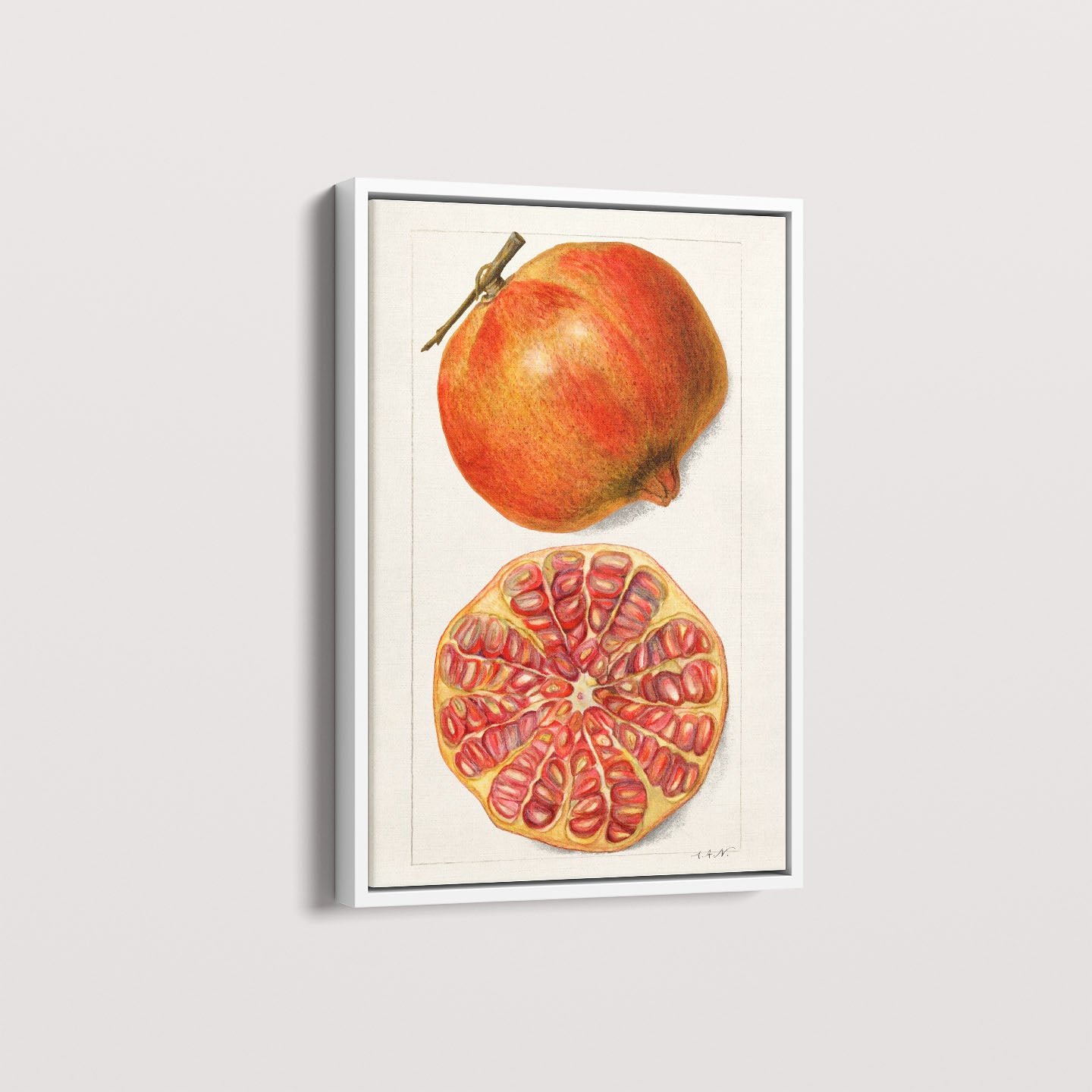 Quadro Romã Vintage