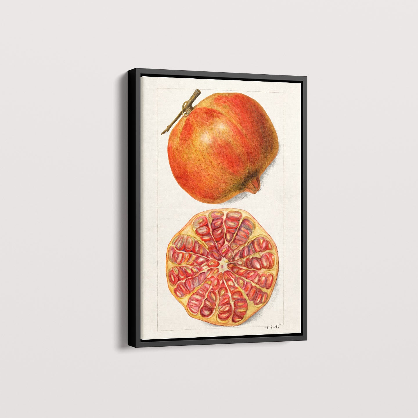 Quadro Romã Vintage