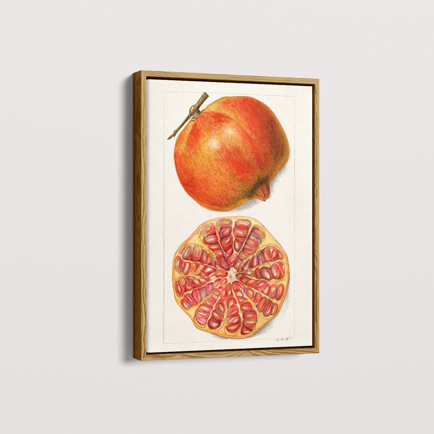 Quadro Romã Vintage