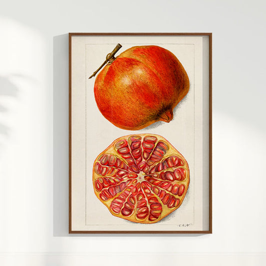 Quadro Romã Vintage