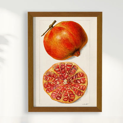 Quadro Romã Vintage