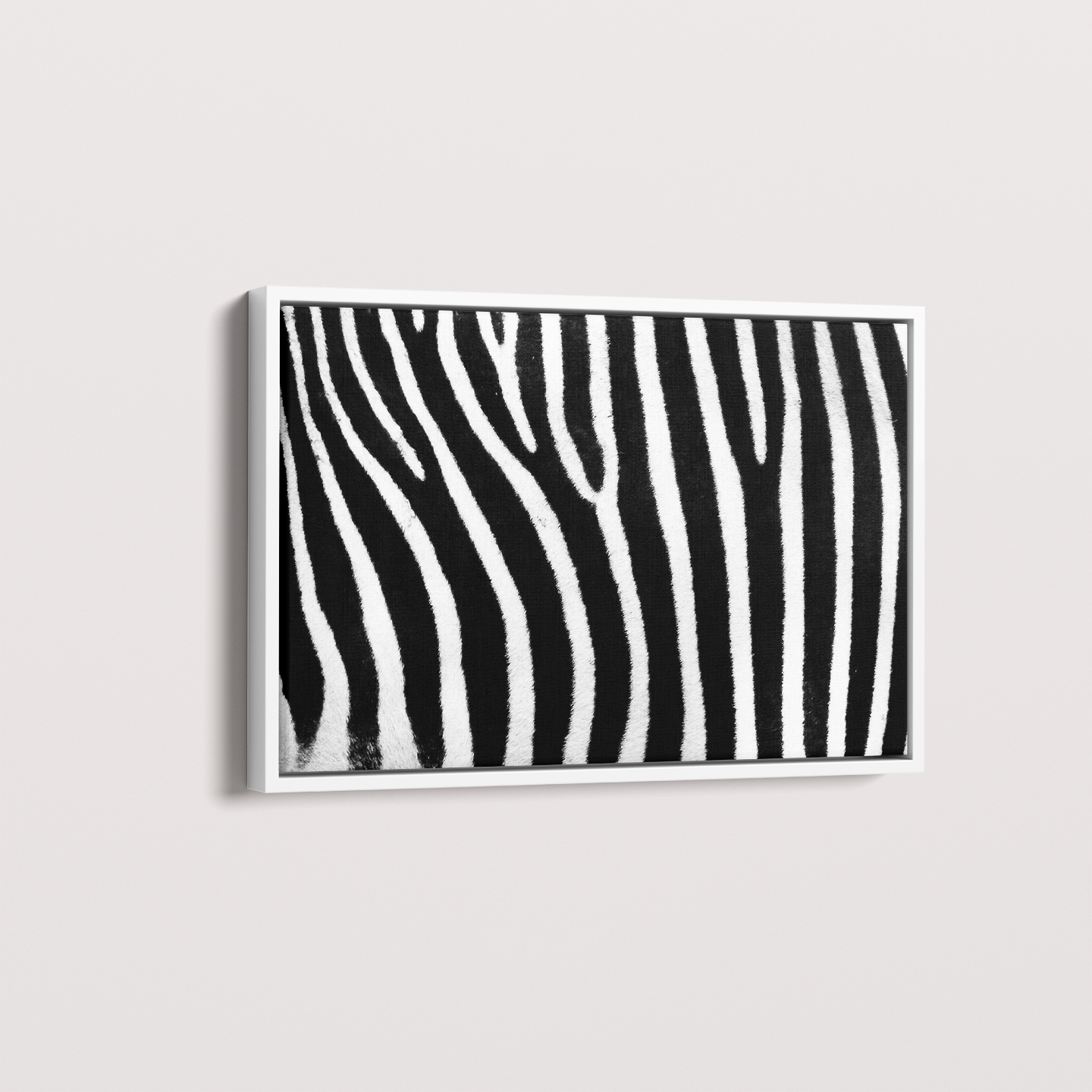 Quadro Zebra