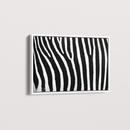 Quadro Zebra