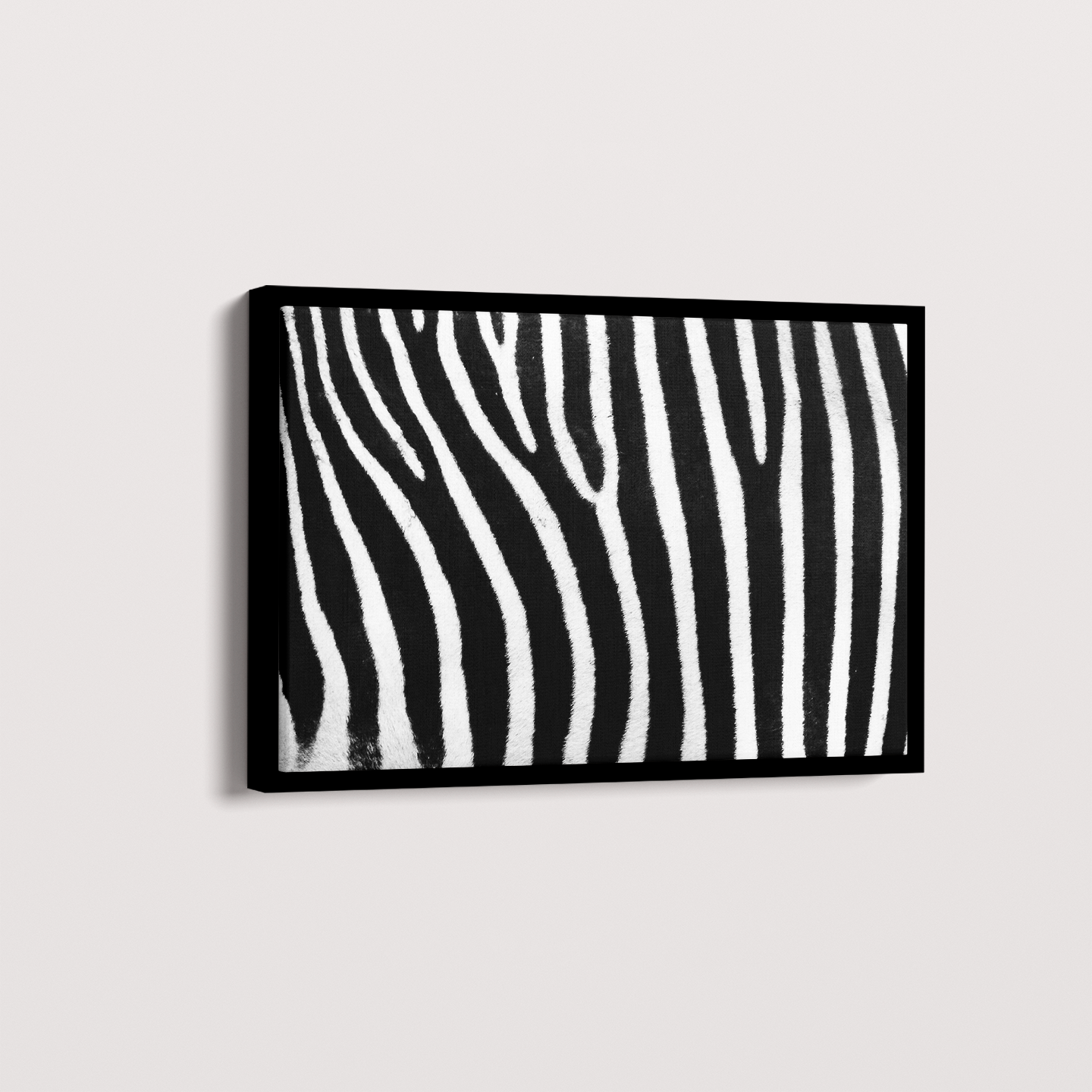 Quadro Zebra