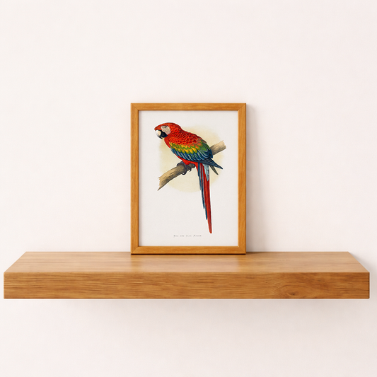 Quadro Arara Vermelha Vintage Tamanho A5 - Pronta Entrega