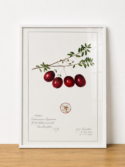 Quadro Cranberry Vintage tamanho A3 pronta entrega