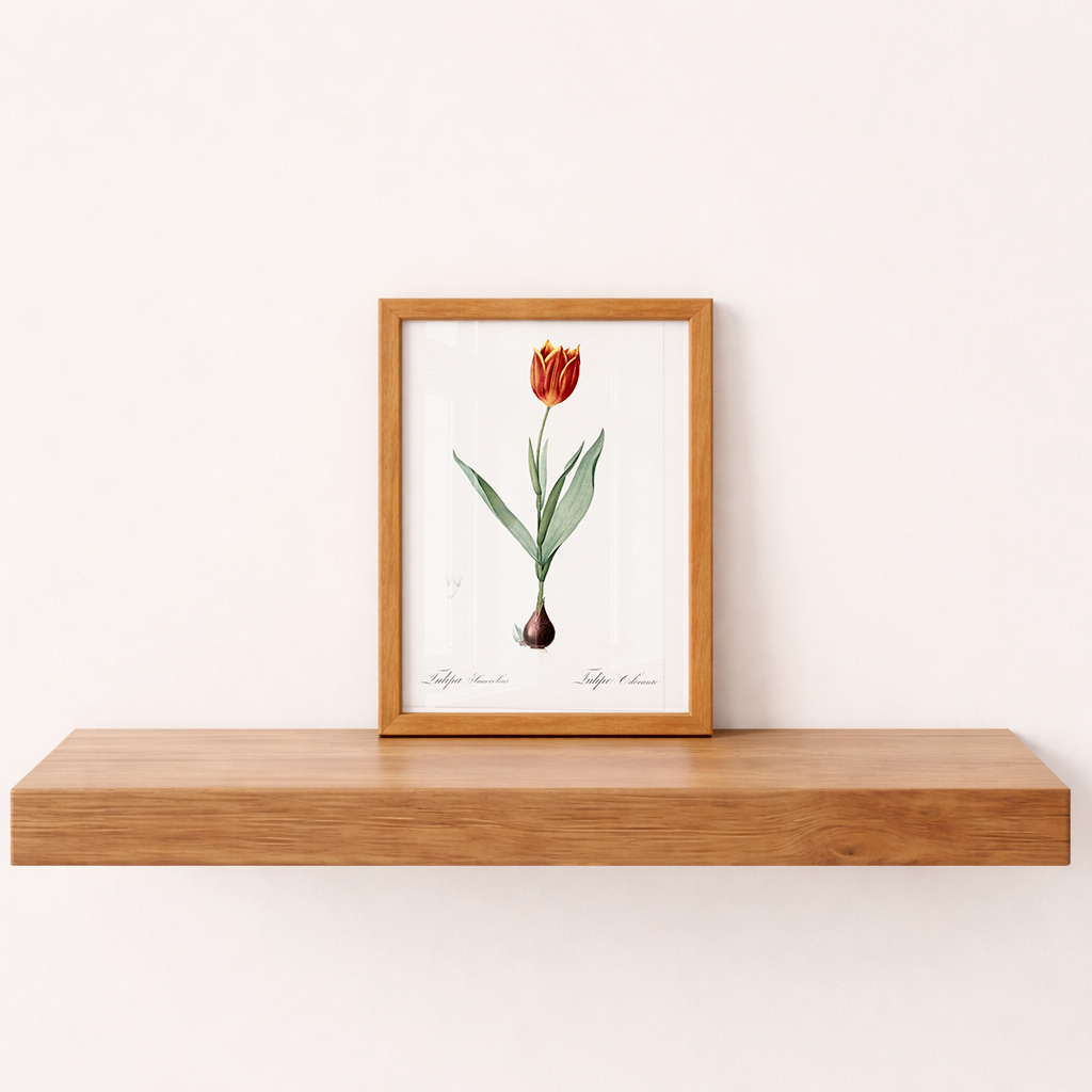 Quadro Tulipa Vintage Tamanho A5 - Pronta Entrega