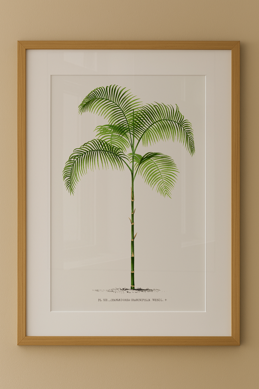 Composição de Quadros Palmeiras Vintage com Paspatur