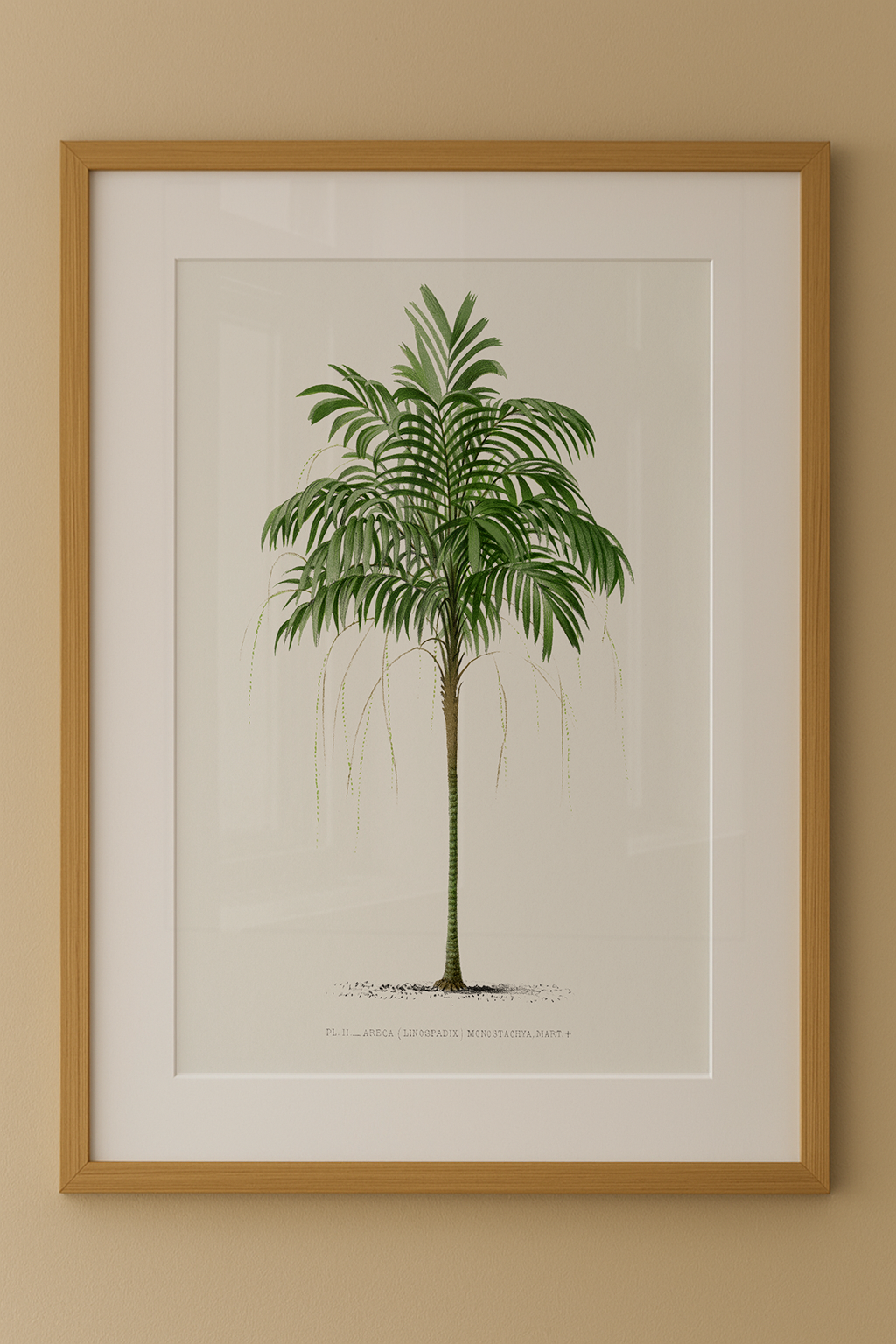Composição de Quadros Palmeiras Vintage com Paspatur