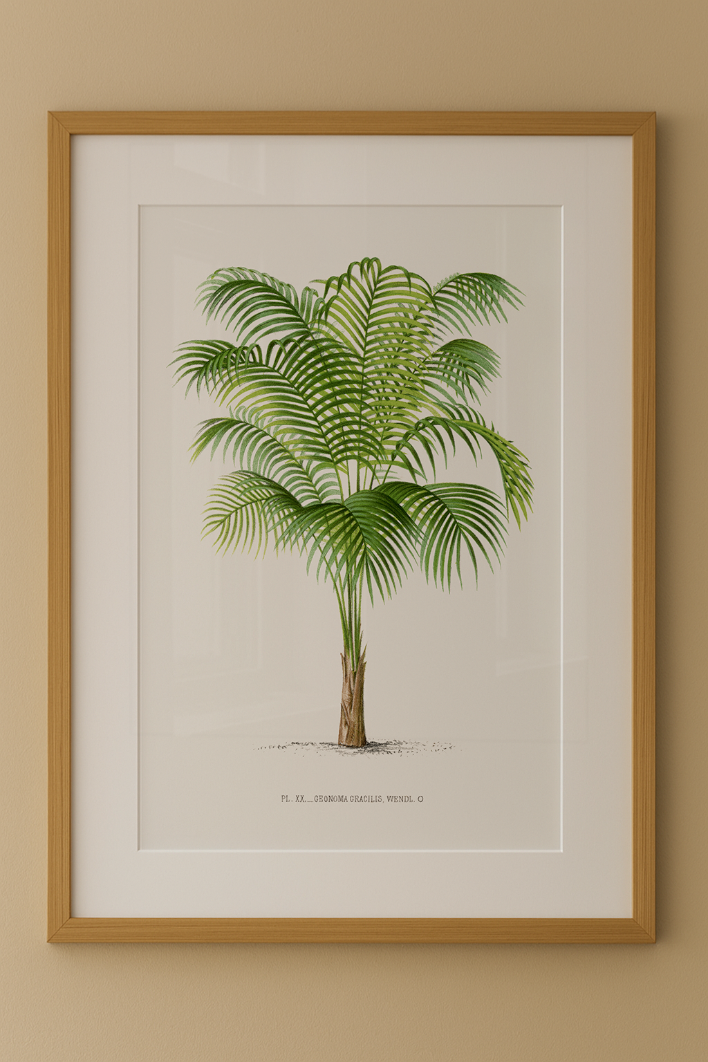 Composição de Quadros Palmeiras Vintage com Paspatur