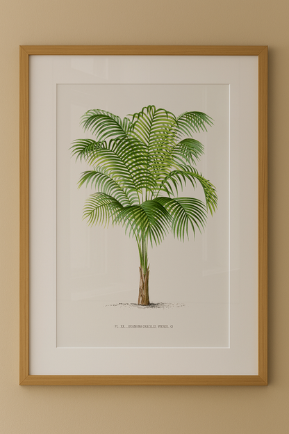 Composição de Quadros Palmeiras Vintage com Paspatur