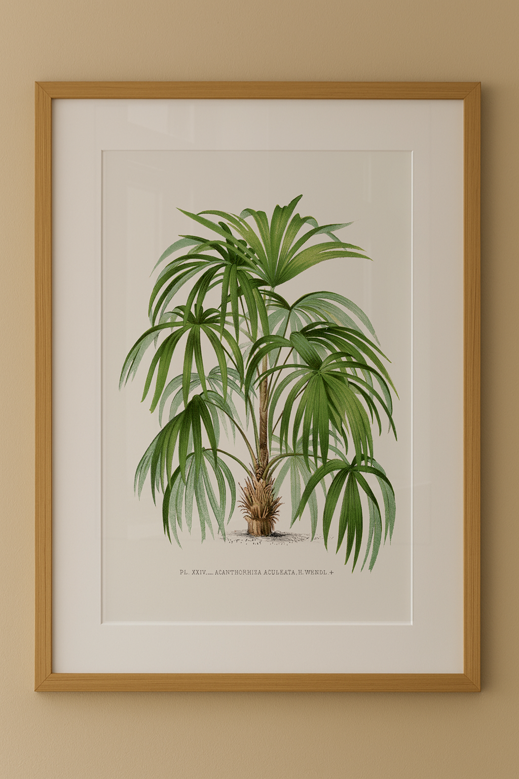 Composição de Quadros Palmeiras Vintage com Paspatur