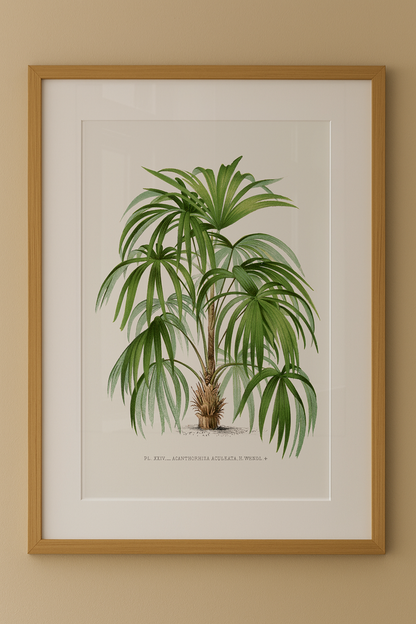 Composição de Quadros Palmeiras Vintage com Paspatur