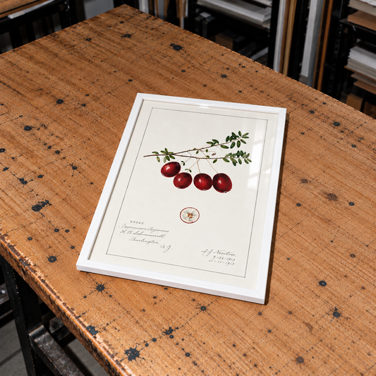 Quadro Cranberry Vintage tamanho A3 pronta entrega