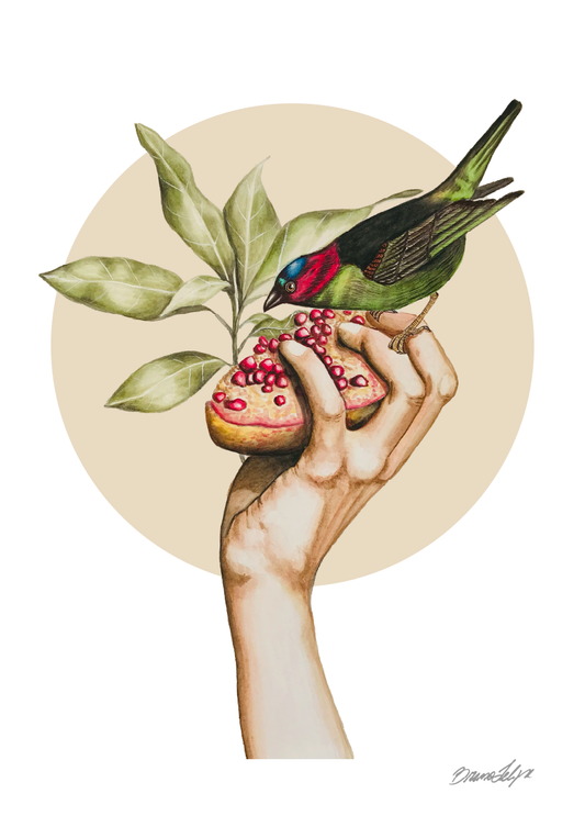 Quadro Romãs por Bruno Felipe