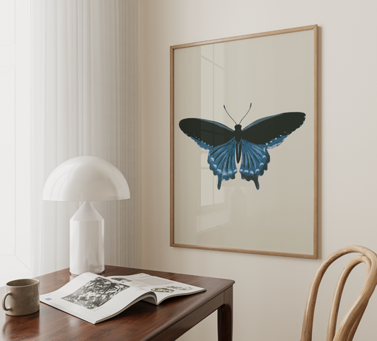 Borboleta Azul