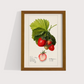 Morango vintage - LARTESTUDIO