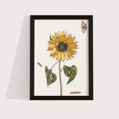 Girassol Vintage