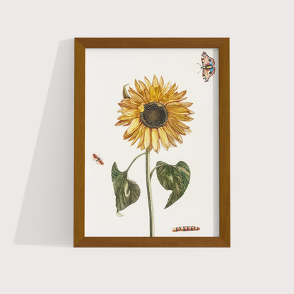 Girassol Vintage