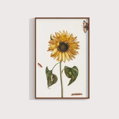 Girassol Vintage