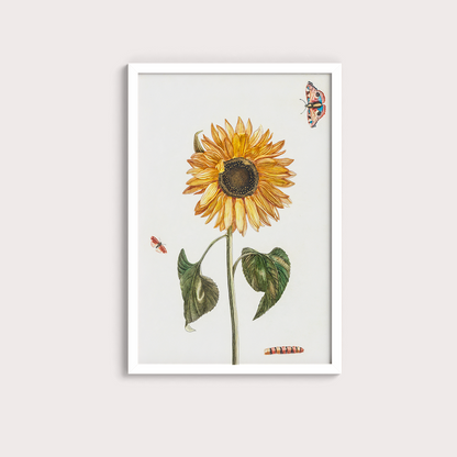Girassol Vintage