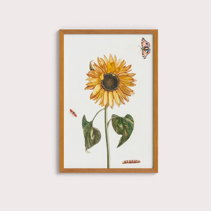 Girassol Vintage