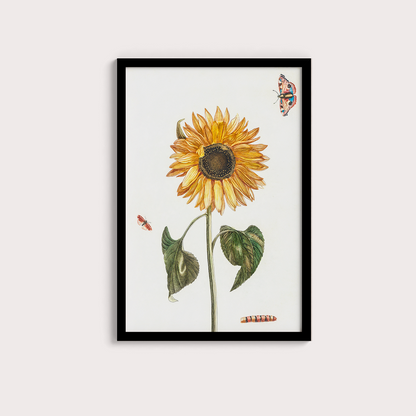 Girassol Vintage