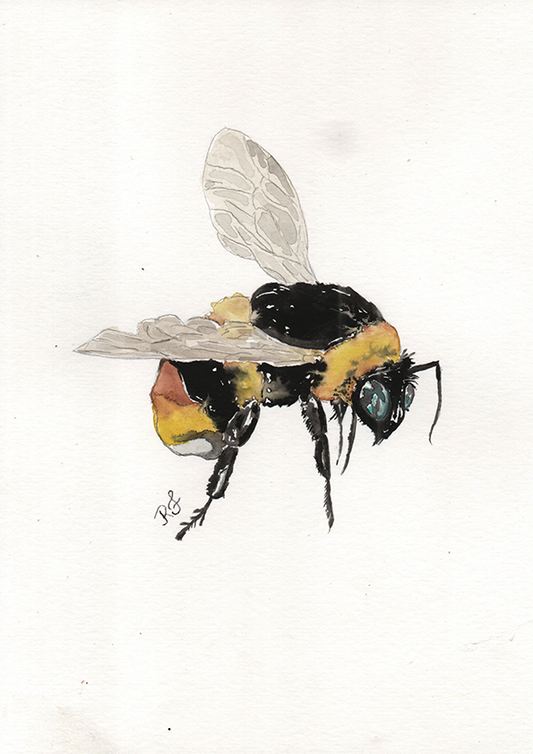 Quadro Abelha por aquarelando