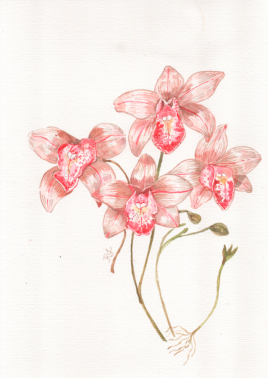 Quadro Aquarelando 22 por Rayana Karoline