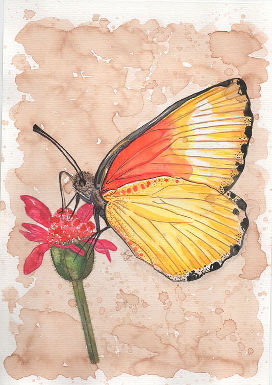 Quadro Aquarelando 27 por Rayana Karoline