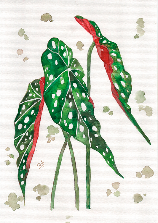 Quadro Aquarelando 33