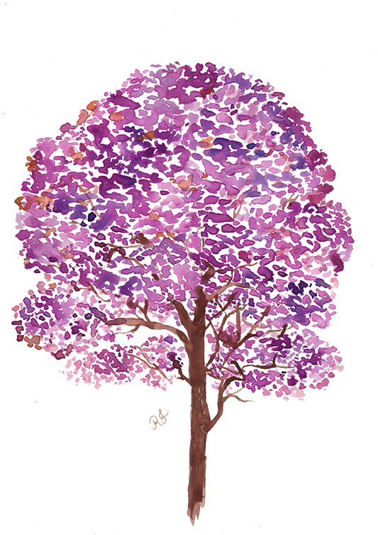Quadro Ipê Roxo por Aquarelando