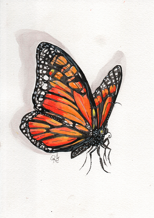 Quadro Borboleta I por aquarelando