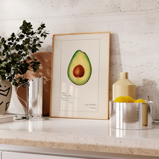Avocado Vintage
