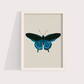 Borboleta Azul