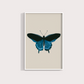 Borboleta Azul