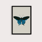 Borboleta Azul