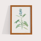 Composição Blue Flowers