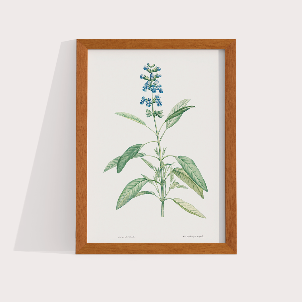 Composição Blue Flowers