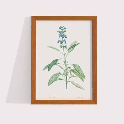 Composição Blue Flowers