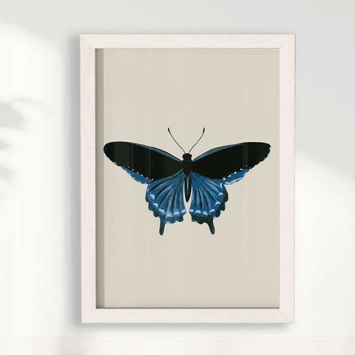 Quadro Borboleta Azul