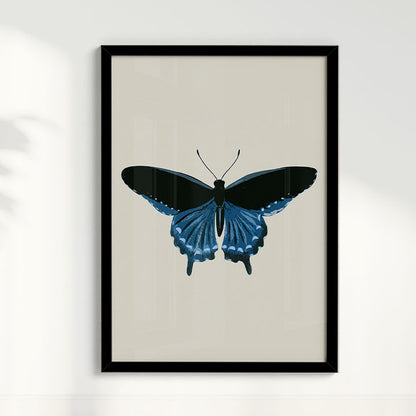 Quadro Borboleta Azul