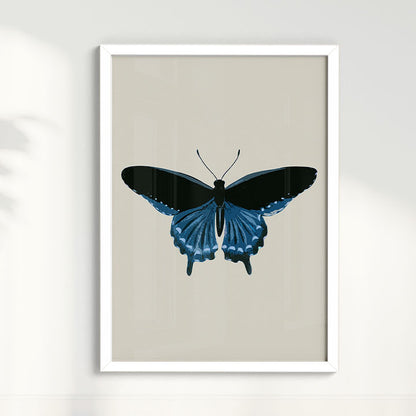 Quadro Borboleta Azul