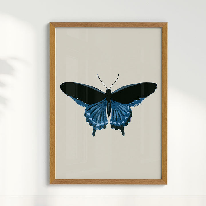 Quadro Borboleta Azul