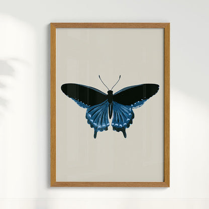 Quadro Borboleta Azul