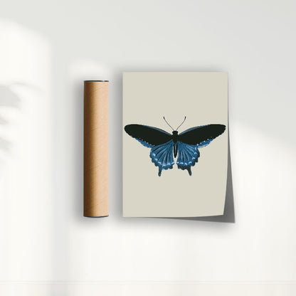Quadro Borboleta Azul