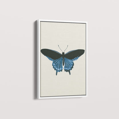 Quadro Borboleta Azul