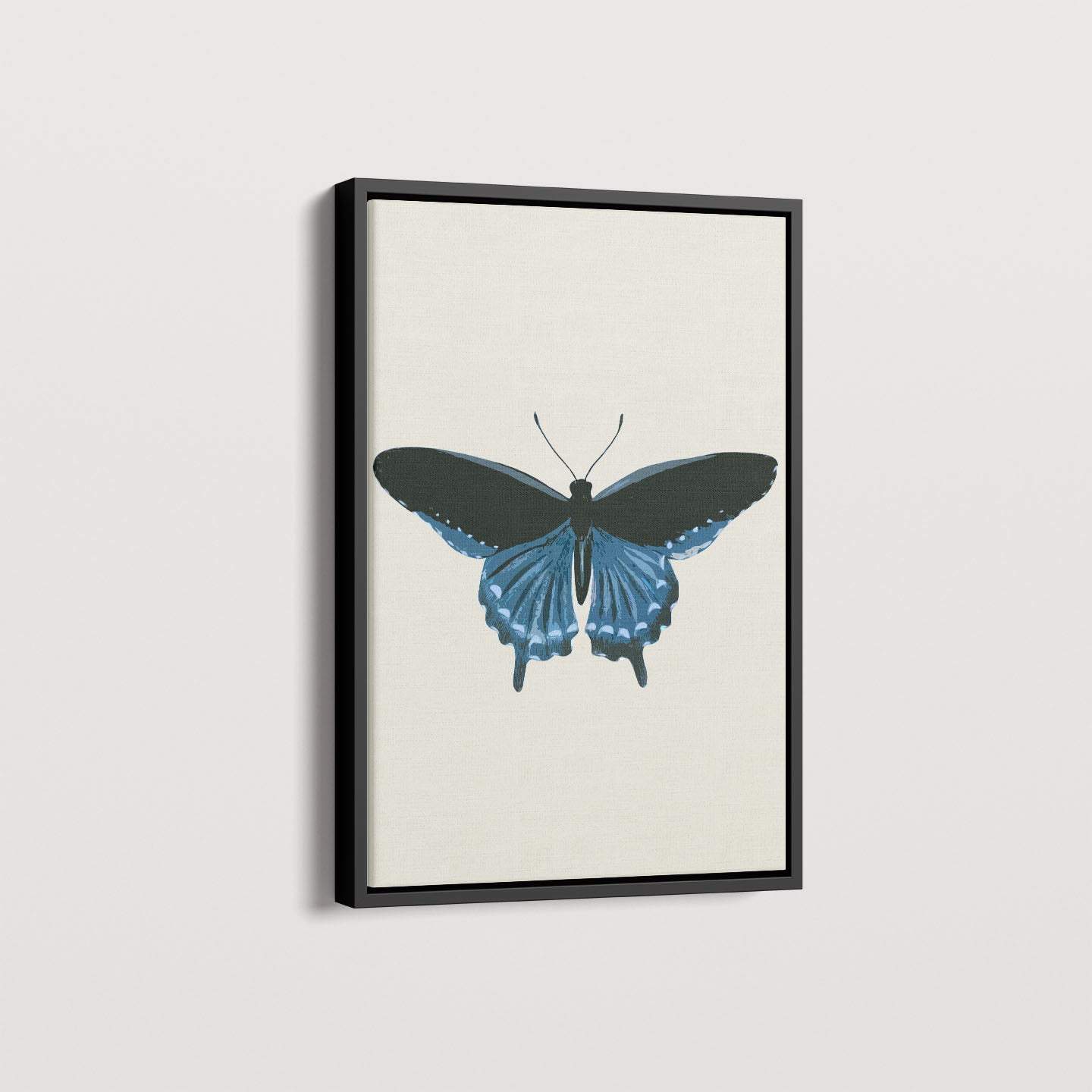 Quadro Borboleta Azul
